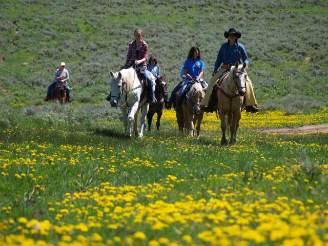 Horseback Riding & Tours