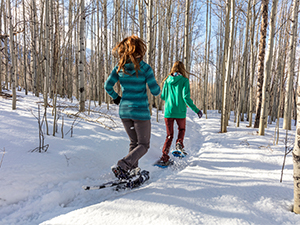 Snowshoe Tours & Rentals