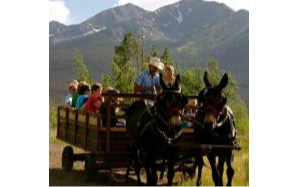 Chuck Wagon Dinner & Show