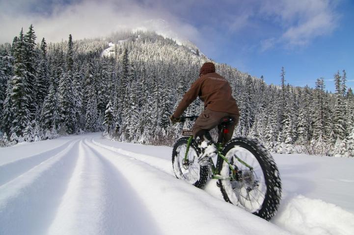 Fat Bike Tours & Rentals