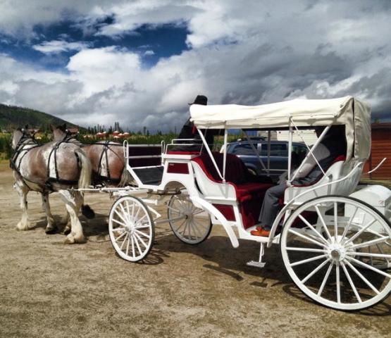 Carriage Rides