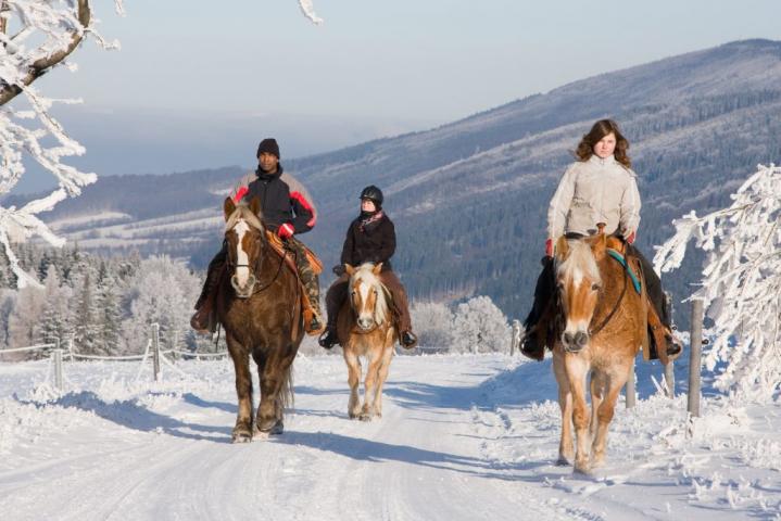 Horseback Riding & Tours